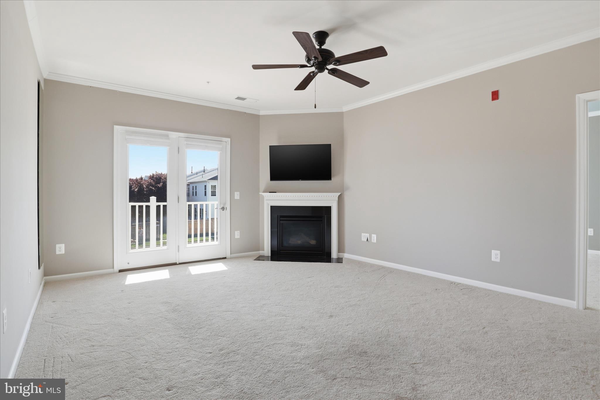 24636 WOOLLY MAMMOTH TERRACE 202