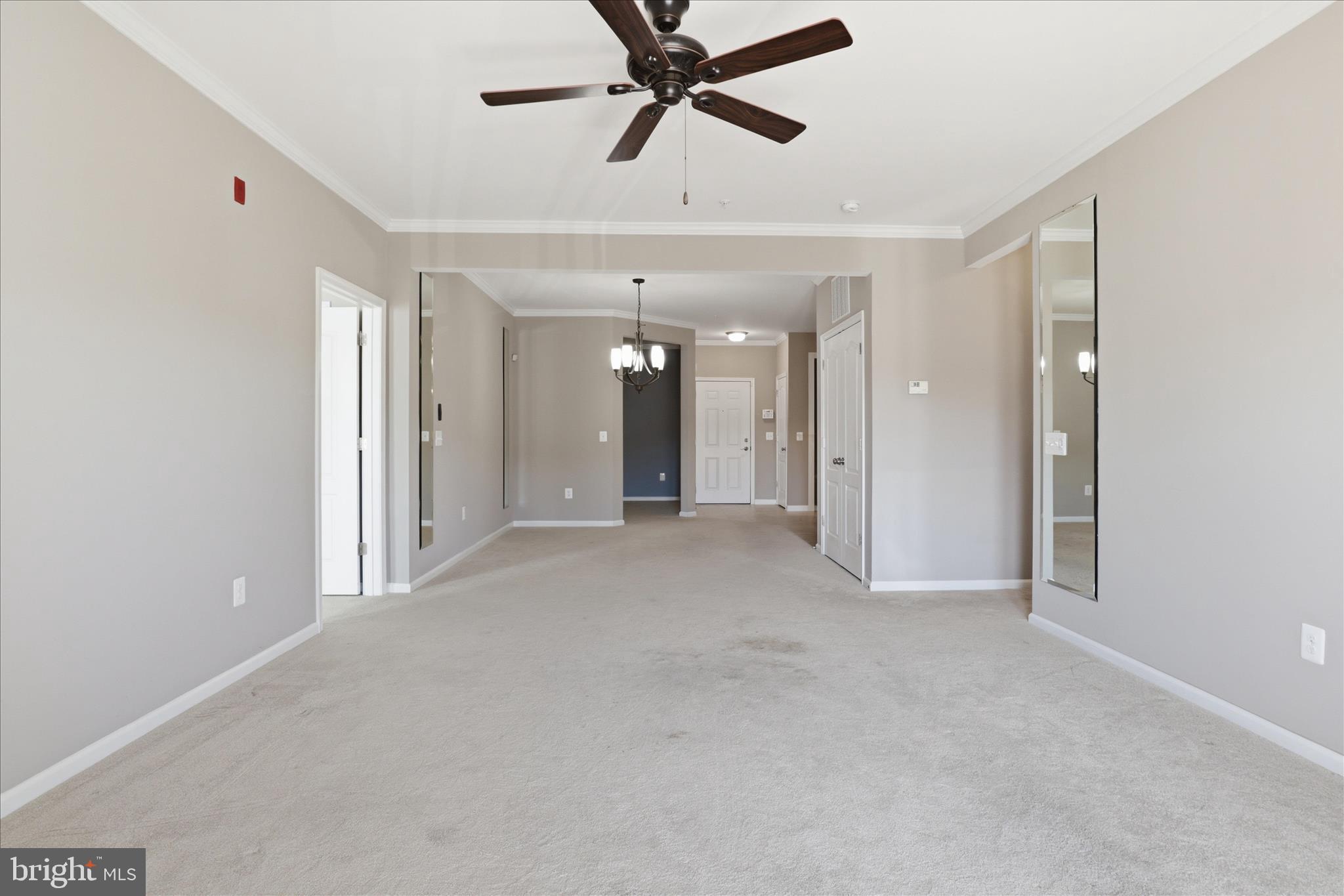 24636 WOOLLY MAMMOTH TERRACE 202