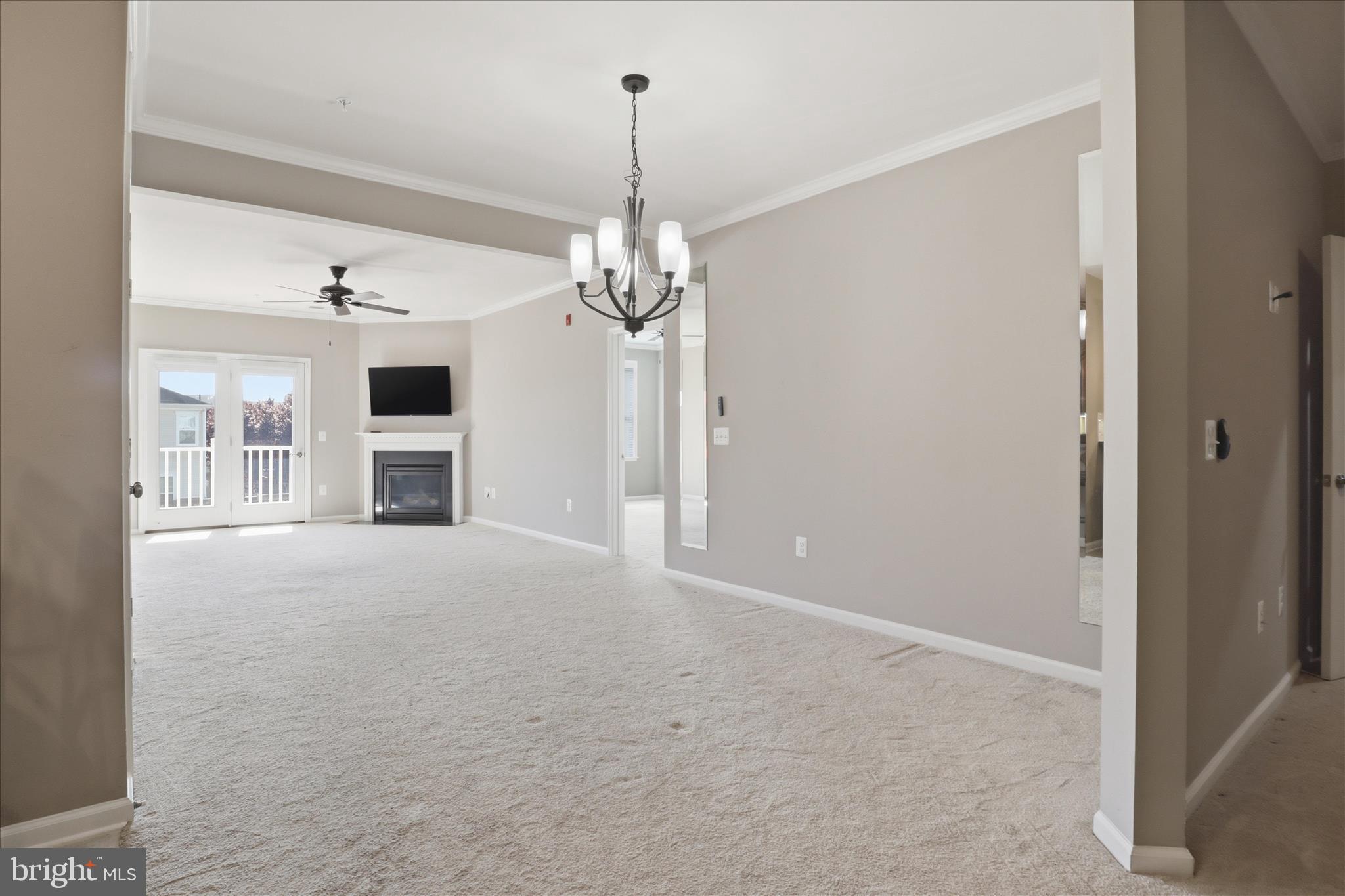 24636 WOOLLY MAMMOTH TERRACE 202