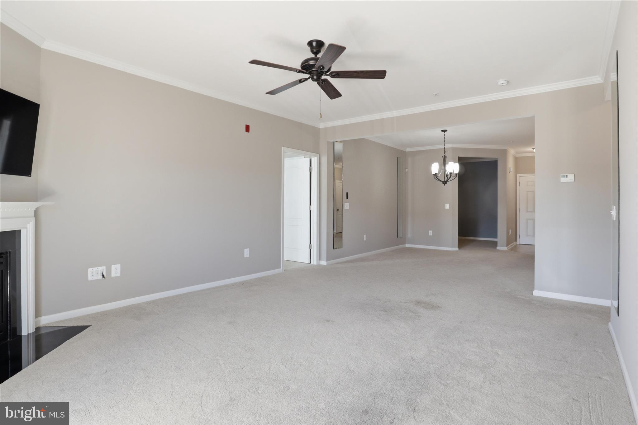 24636 WOOLLY MAMMOTH TERRACE 202
