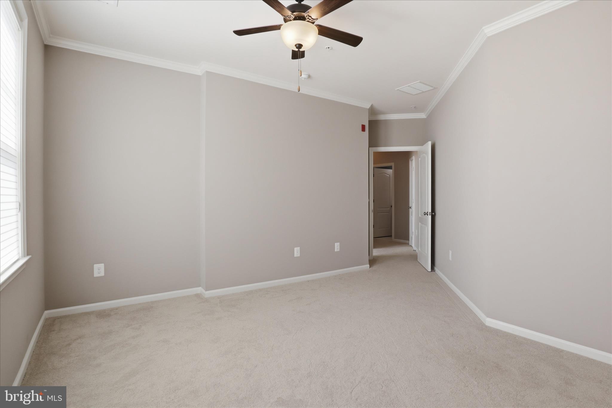 24636 WOOLLY MAMMOTH TERRACE 202