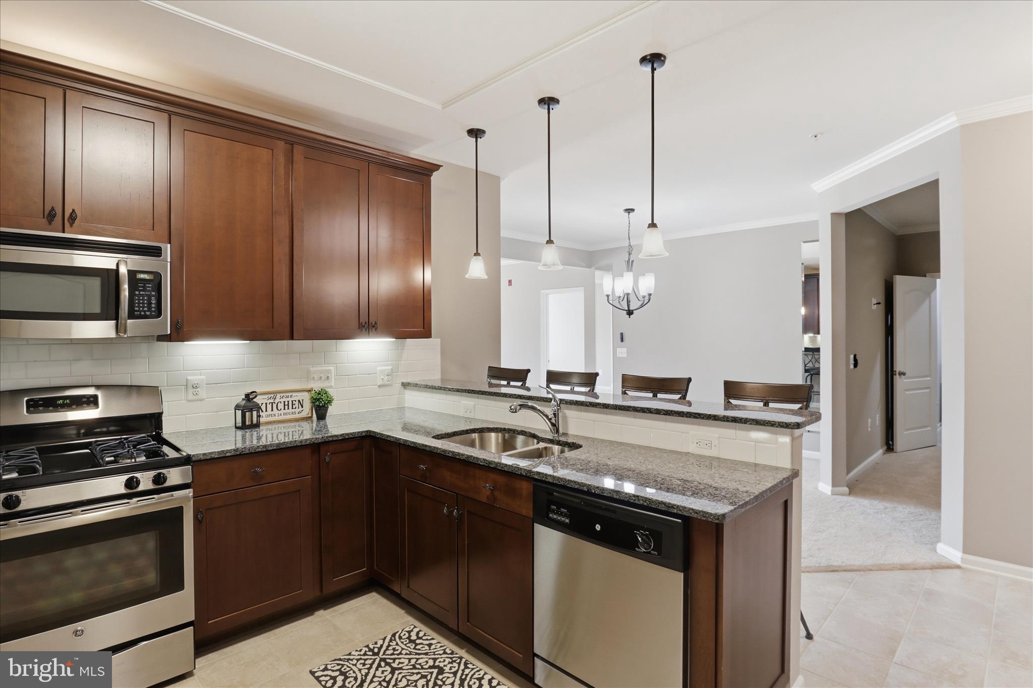 24636 WOOLLY MAMMOTH TERRACE 202