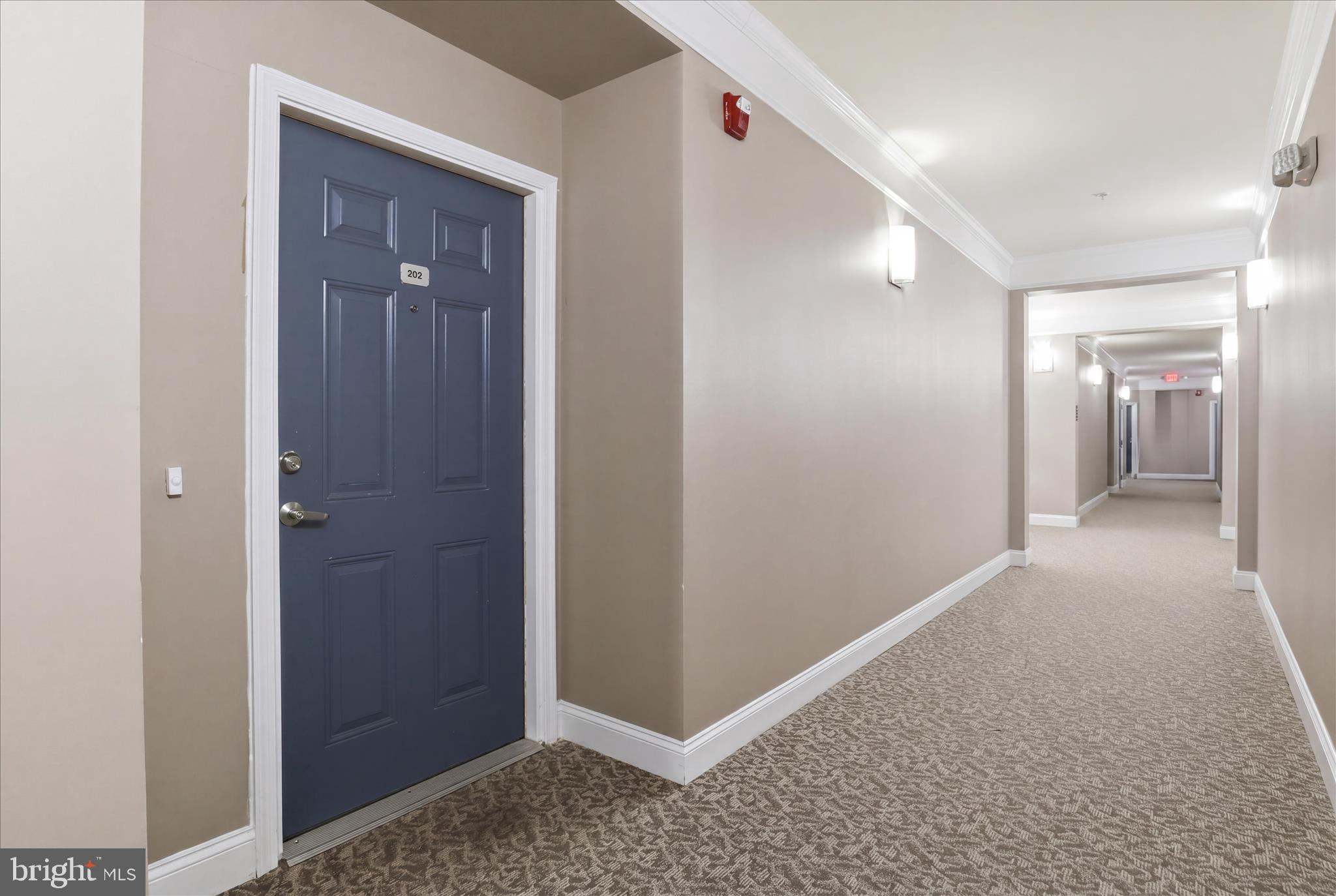 24636 WOOLLY MAMMOTH TERRACE 202