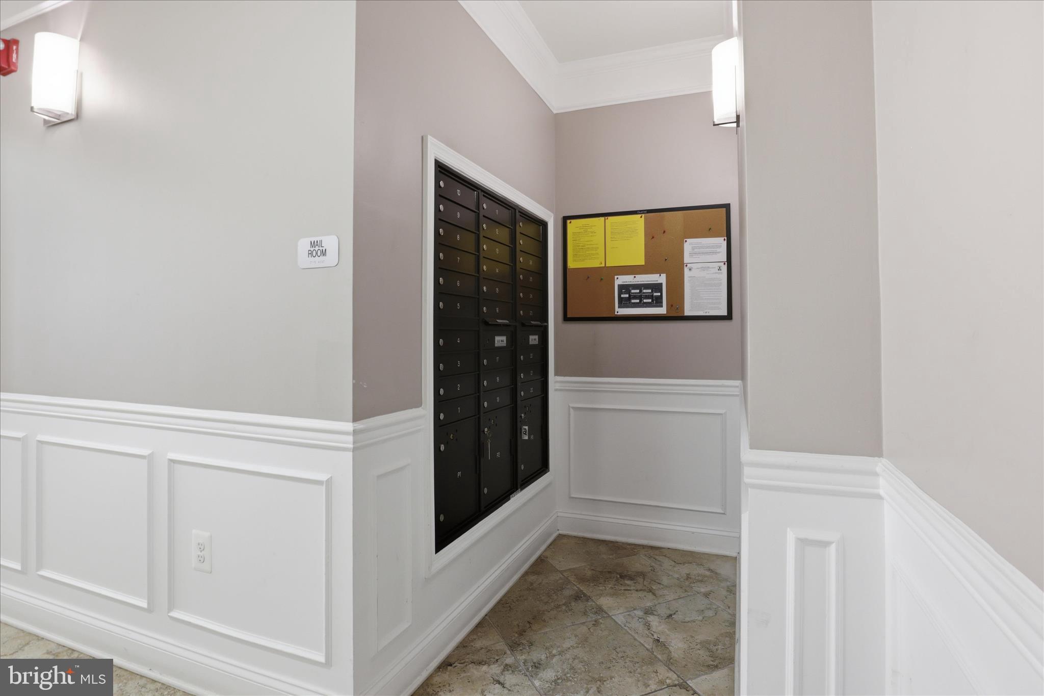 24636 WOOLLY MAMMOTH TERRACE 202
