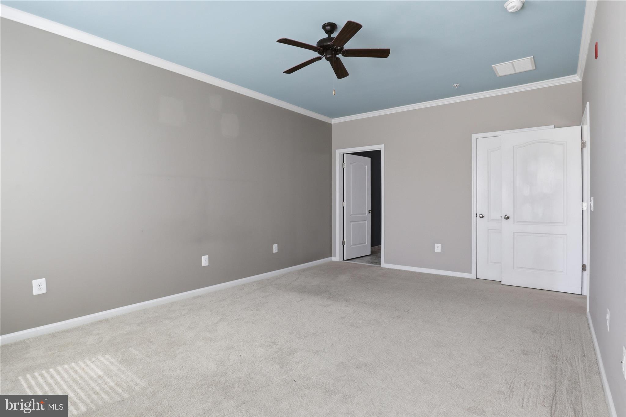 24636 WOOLLY MAMMOTH TERRACE 202