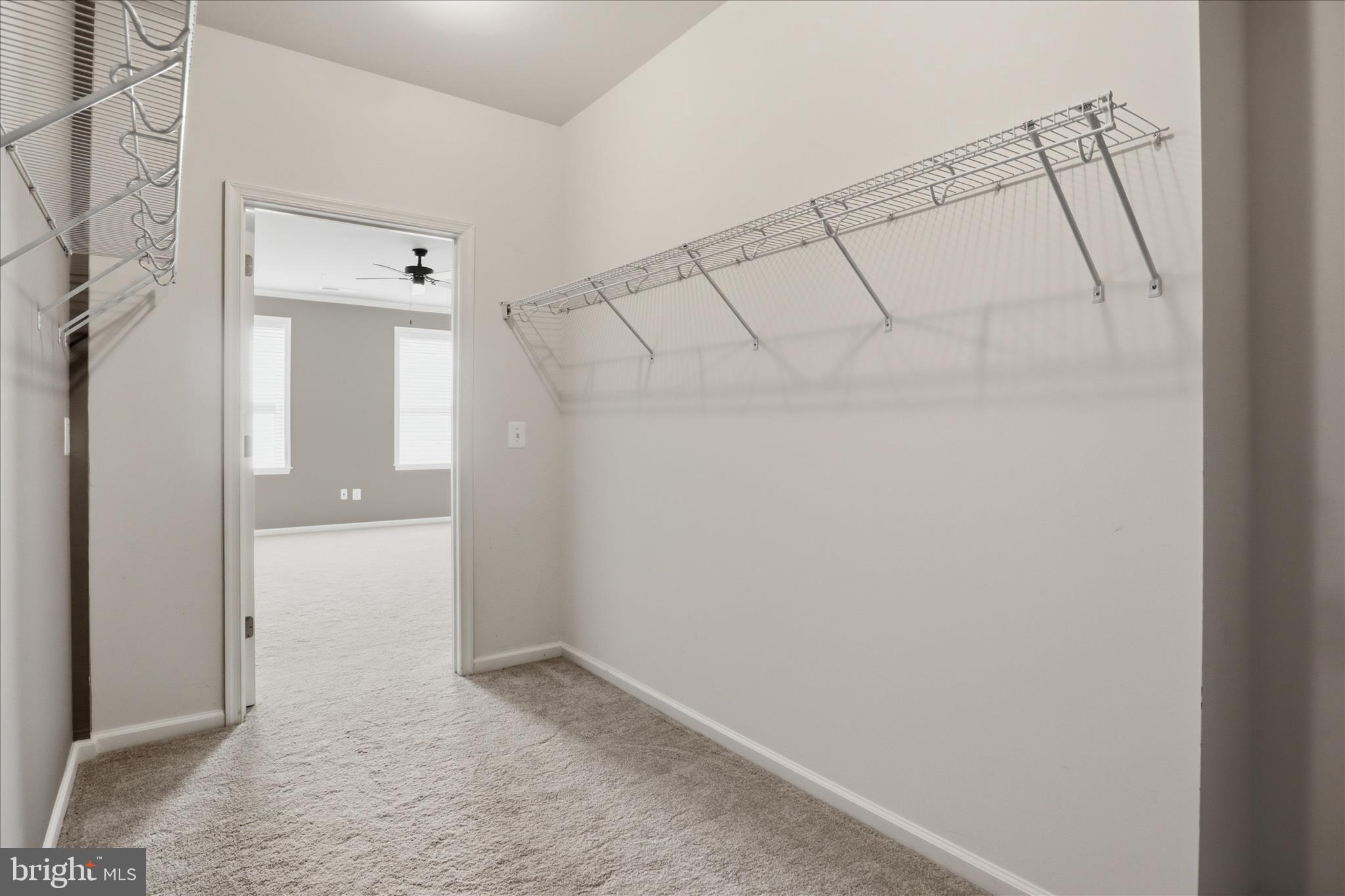 24636 WOOLLY MAMMOTH TERRACE 202