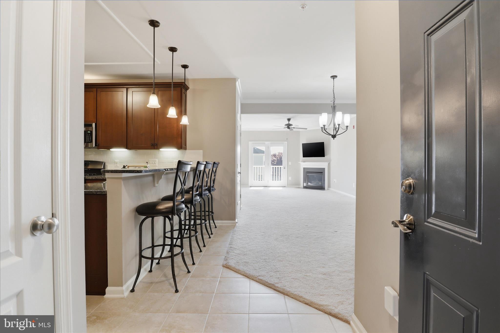 24636 WOOLLY MAMMOTH TERRACE 202