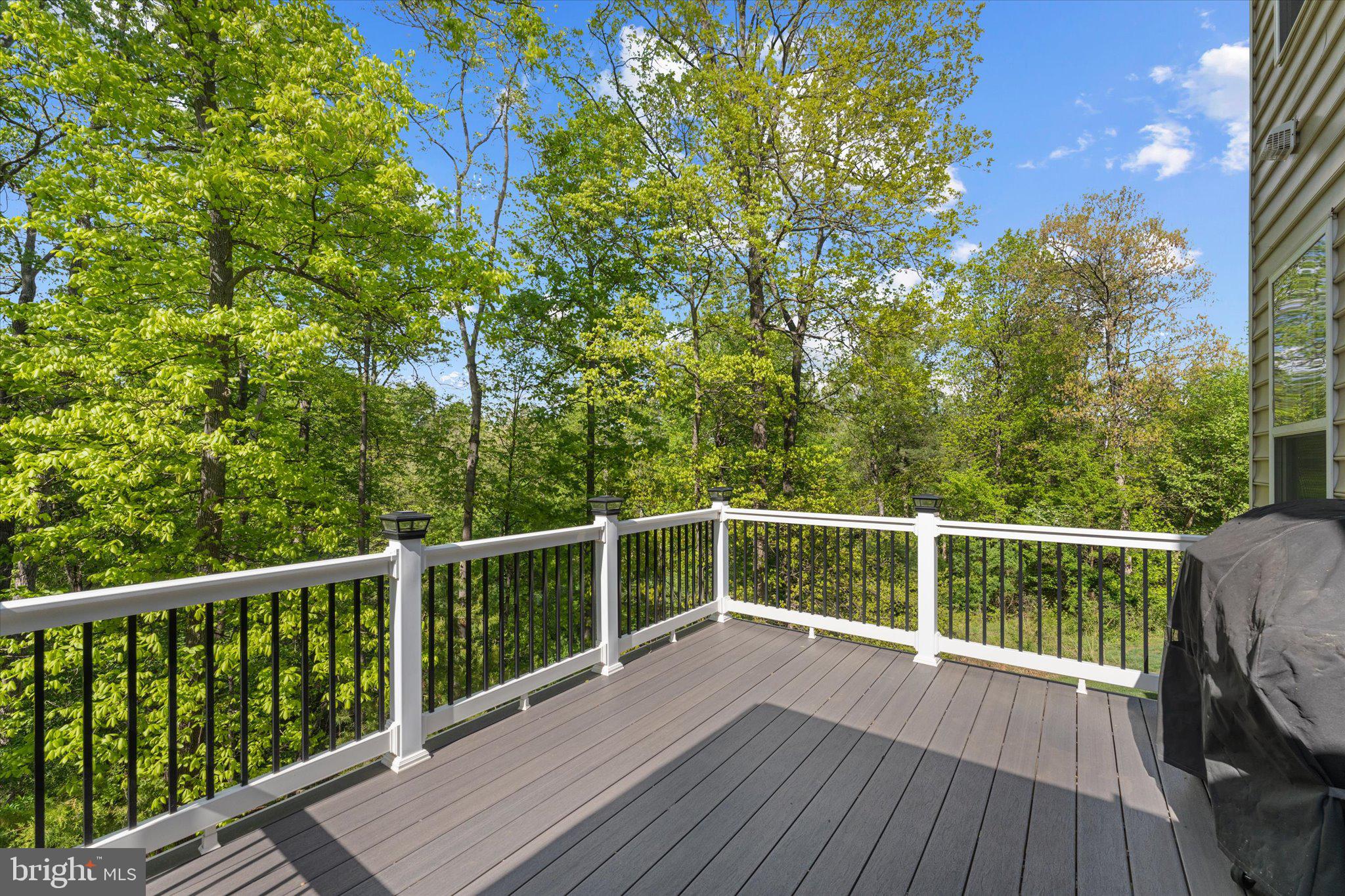 24618 SALMON RIVER PLACE