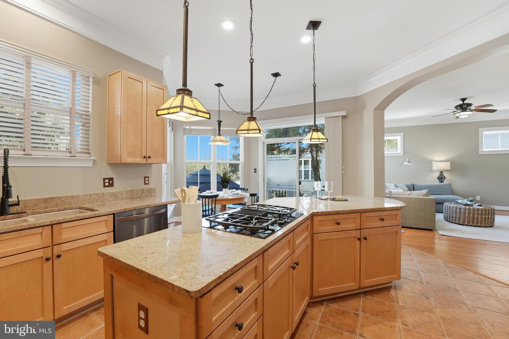 22826 COURTLAND PARK DRIVE