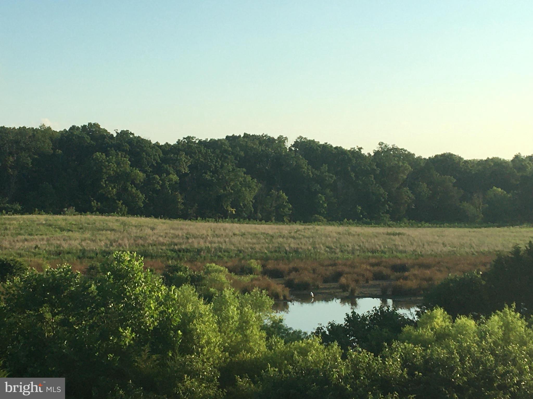 42010 MILL QUARTER PLACE