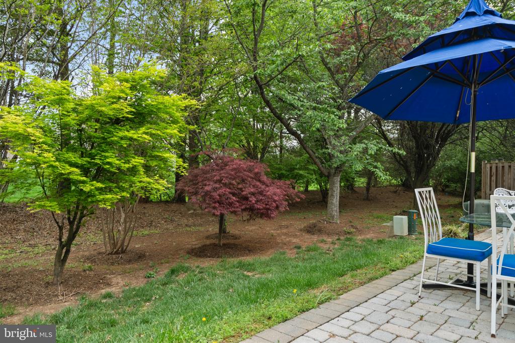 44474 LIVONIA TERRACE