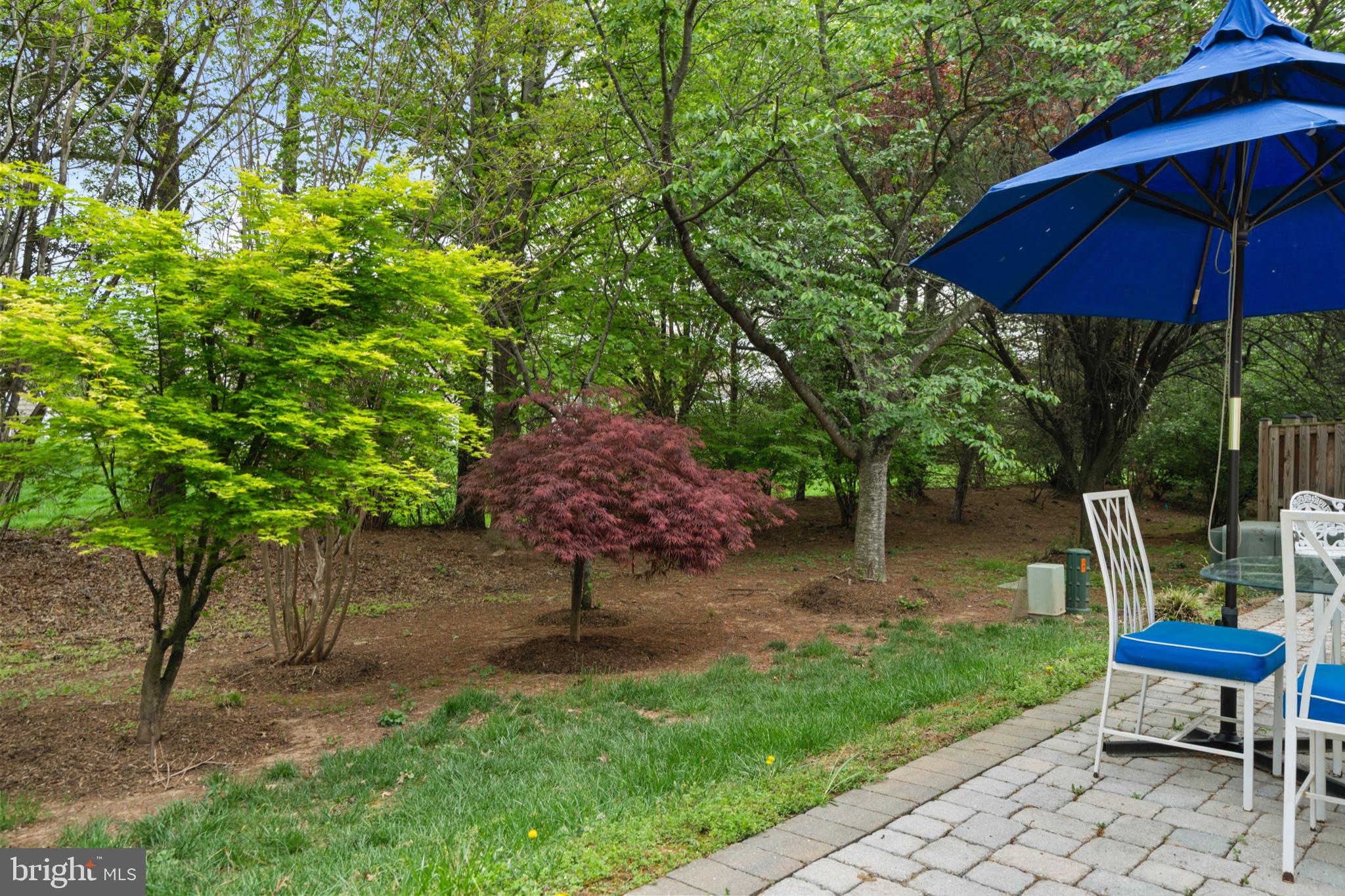 44474 LIVONIA TERRACE