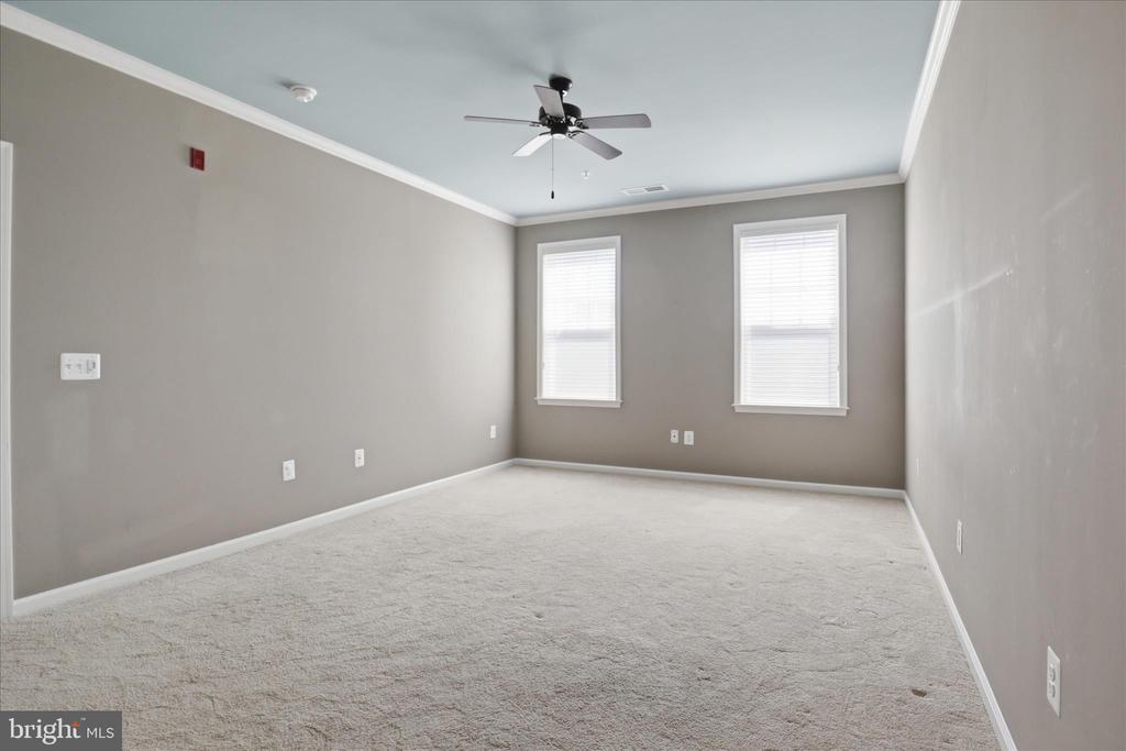 24636 WOOLLY MAMMOTH TERRACE 202