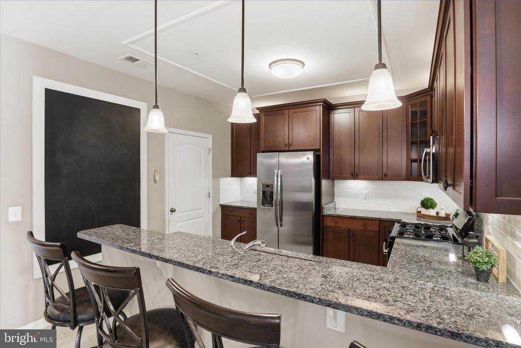 24636 WOOLLY MAMMOTH TERRACE 202