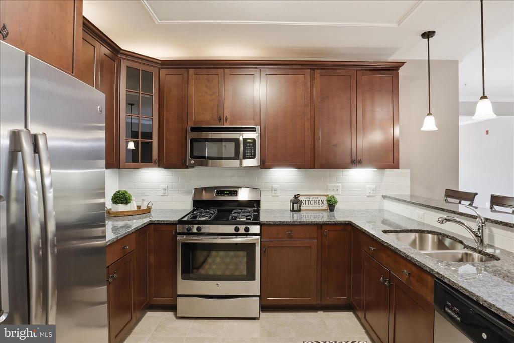 24636 WOOLLY MAMMOTH TERRACE 202