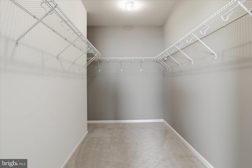 24636 WOOLLY MAMMOTH TERRACE 202