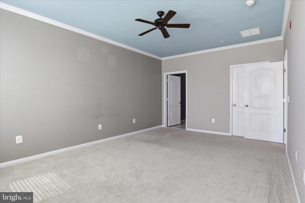 24636 WOOLLY MAMMOTH TERRACE 202