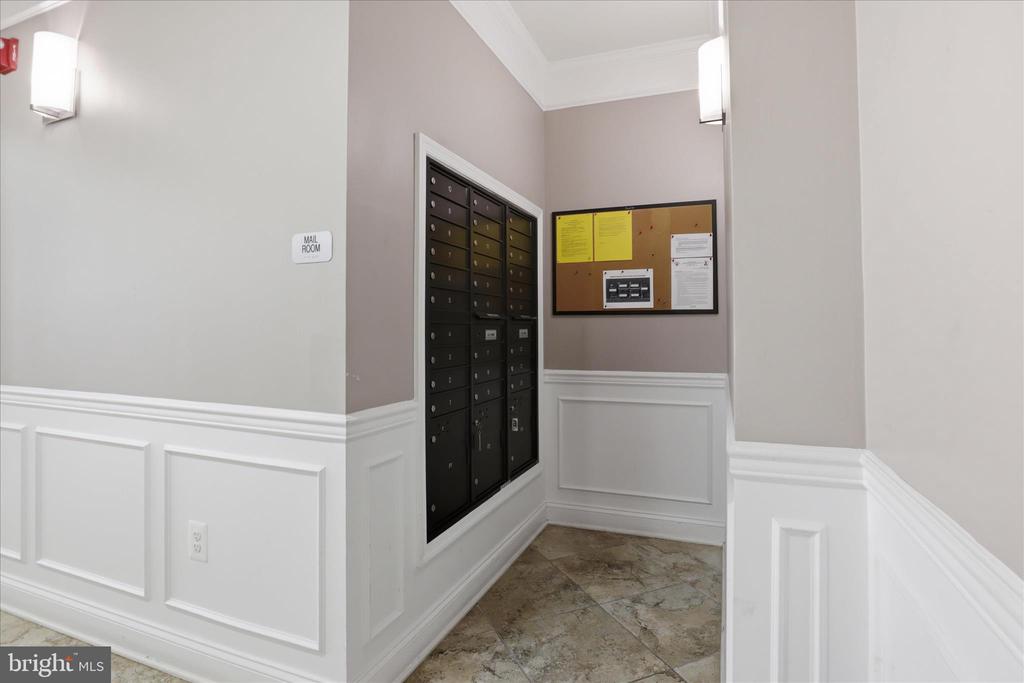 24636 WOOLLY MAMMOTH TERRACE 202