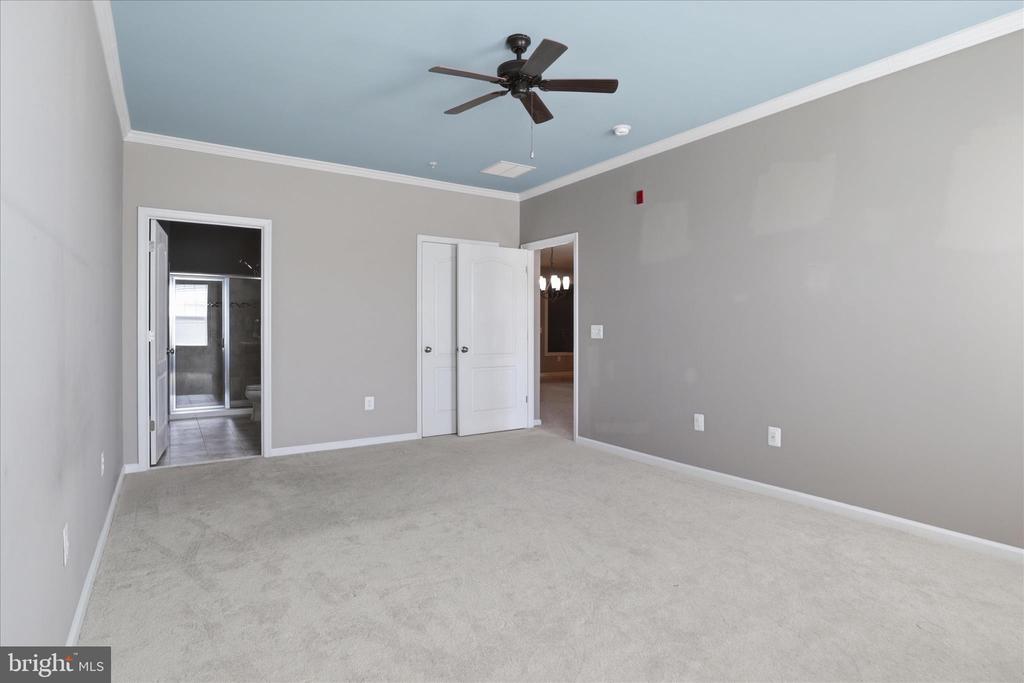 24636 WOOLLY MAMMOTH TERRACE 202