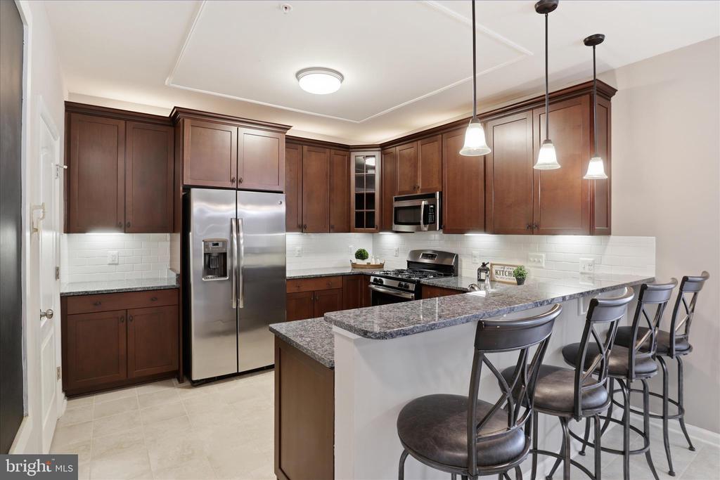24636 WOOLLY MAMMOTH TERRACE 202