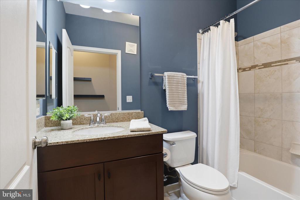 24636 WOOLLY MAMMOTH TERRACE 202