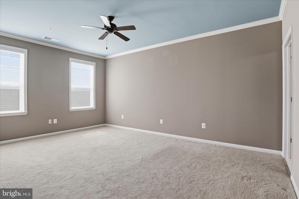 24636 WOOLLY MAMMOTH TERRACE 202