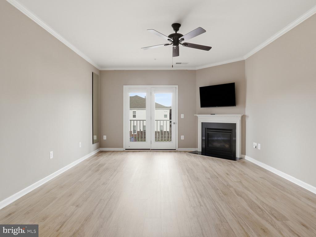 24636 WOOLLY MAMMOTH TERRACE 202