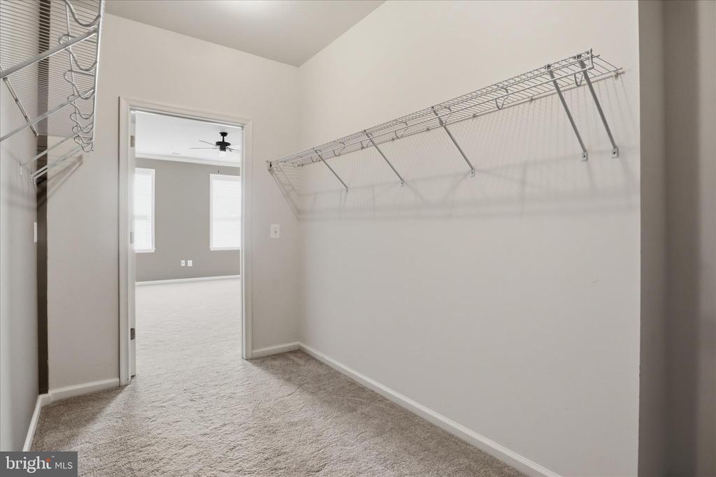 24636 WOOLLY MAMMOTH TERRACE 202
