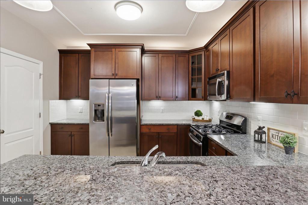 24636 WOOLLY MAMMOTH TERRACE 202
