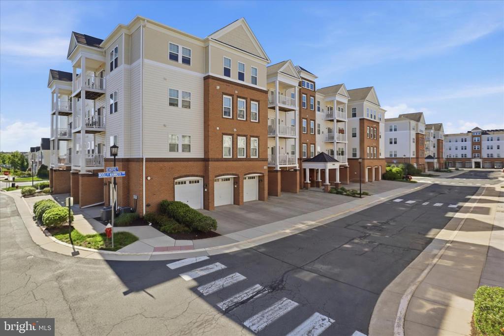 24636 WOOLLY MAMMOTH TERRACE 202