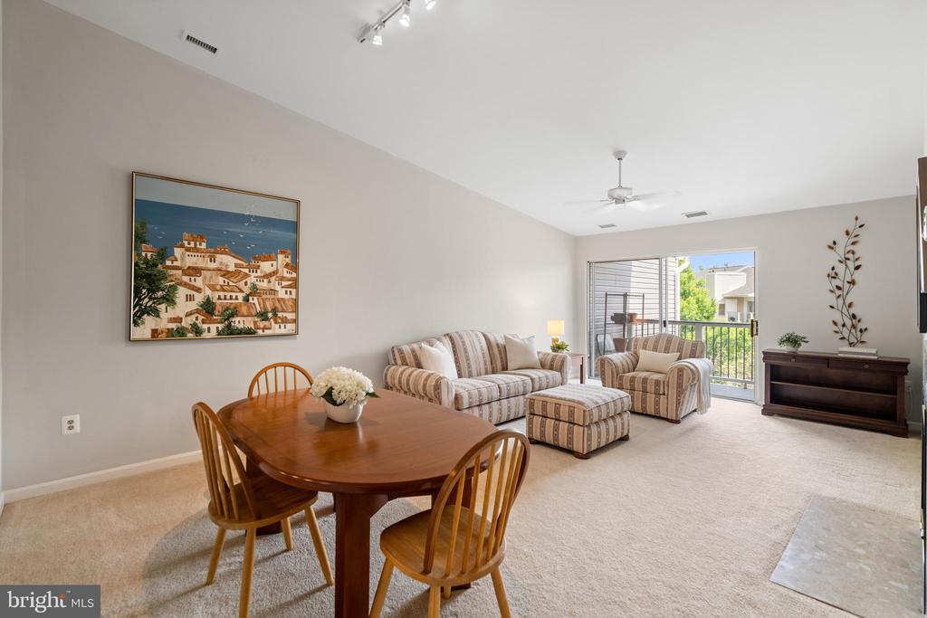 20604 CORNSTALK TERRACE 301
