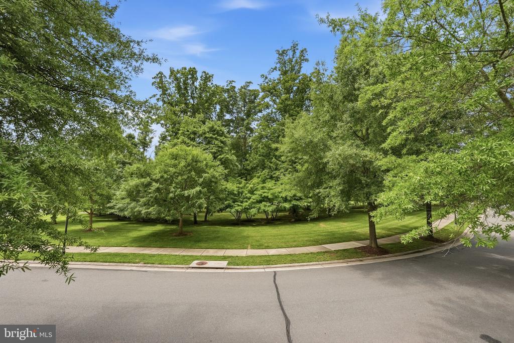 20789 RED CEDAR DRIVE