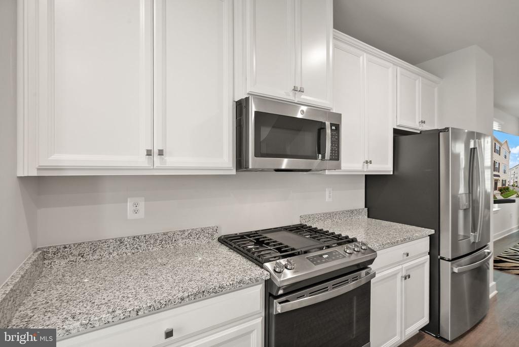 24550 POMMEL TERRACE