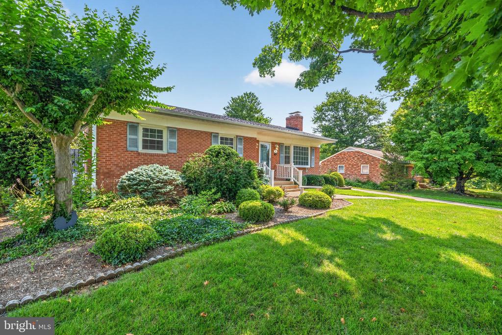 19 HAMILTON TERRACE DRIVE