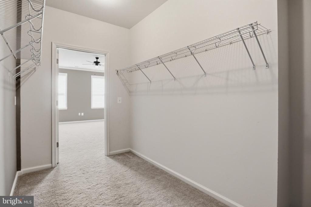 24636 WOOLLY MAMMOTH TERRACE Unit: 202