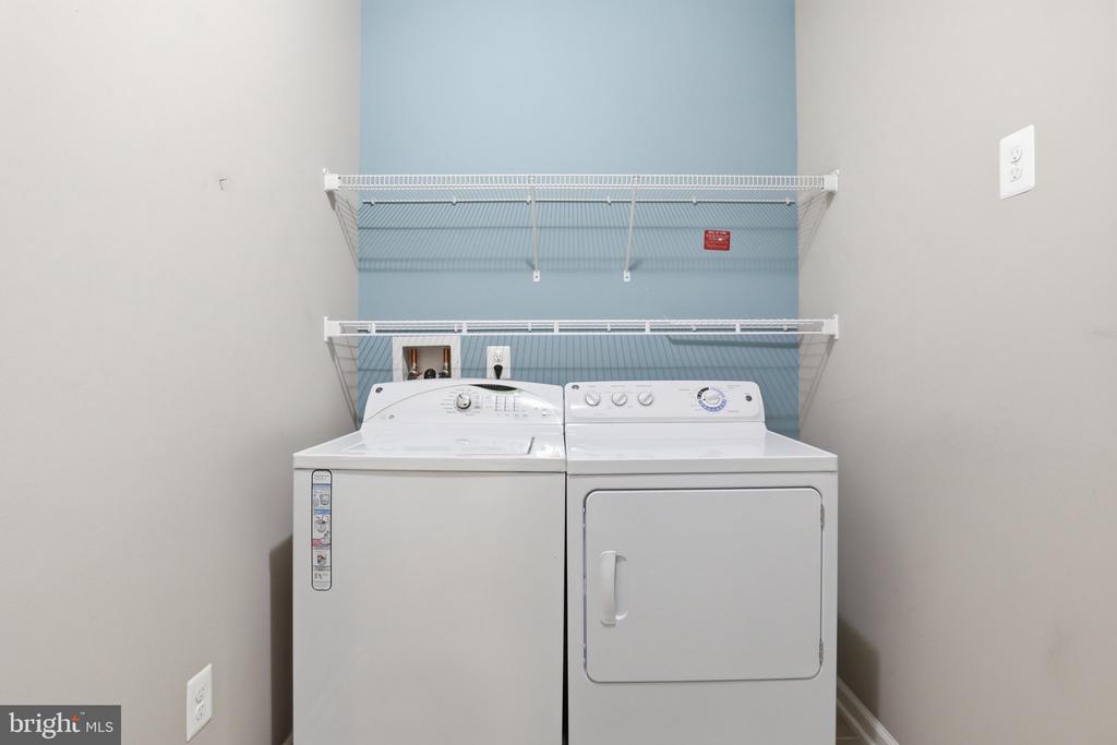 24636 WOOLLY MAMMOTH TERRACE Unit: 202