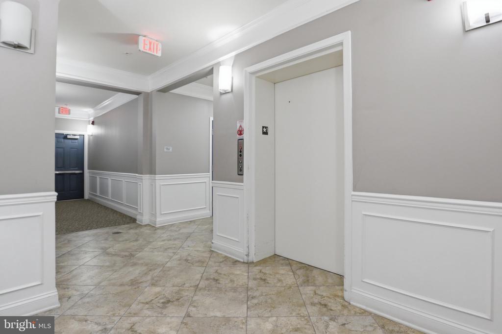24636 WOOLLY MAMMOTH TERRACE Unit: 202