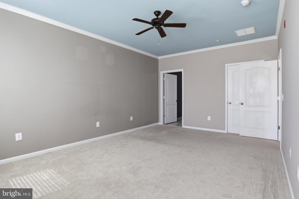 24636 WOOLLY MAMMOTH TERRACE Unit: 202