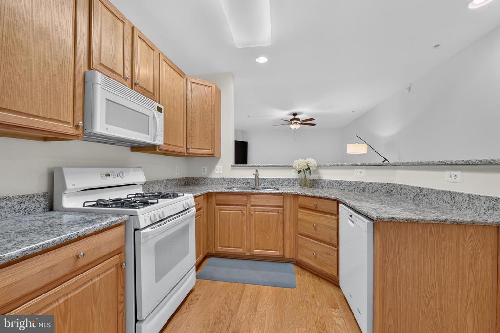 43081 ZANDER TERRACE