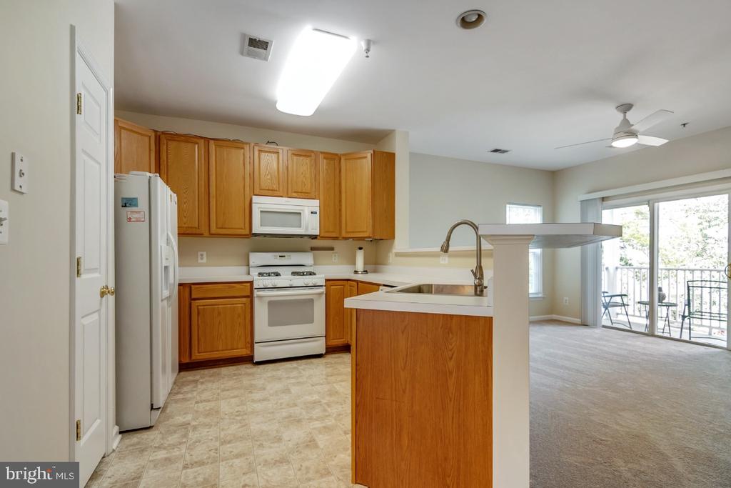 43028 OLD GALLIVAN TERRACE