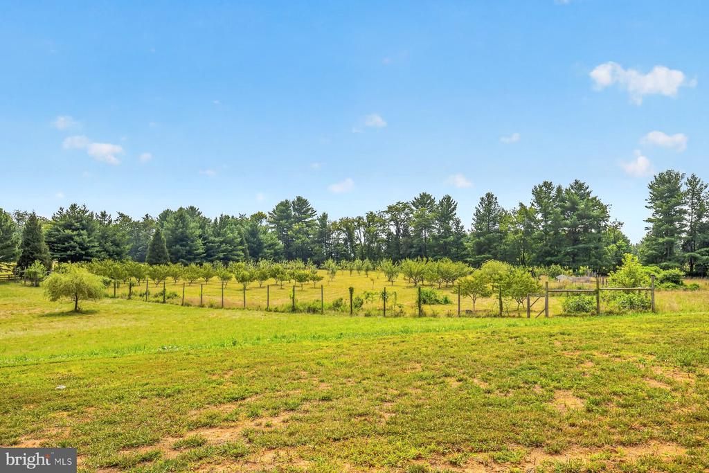 38217 MOUNTAIN AIR LANE