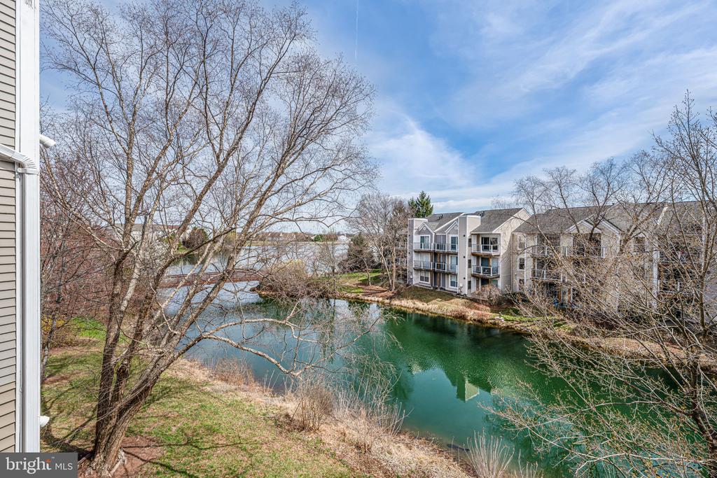 20596 CORNSTALK TERRACE Unit: 302