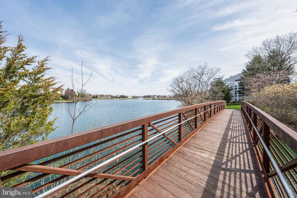 20596 CORNSTALK TERRACE Unit: 302