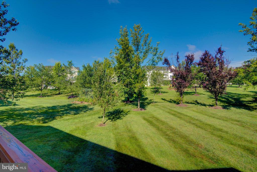 25291 KILKEEN WAY