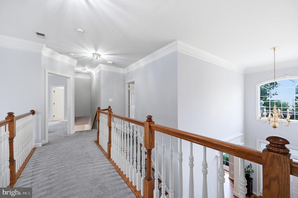 42831 DELPHINIUM CIRCLE