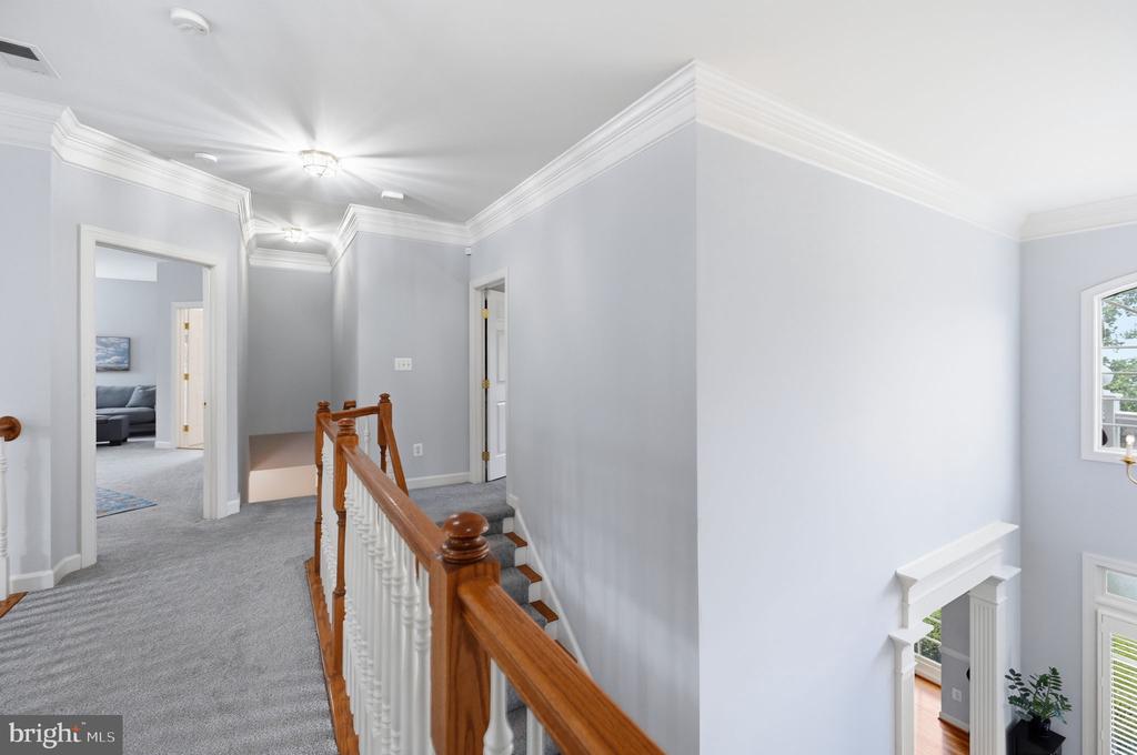 42831 DELPHINIUM CIRCLE