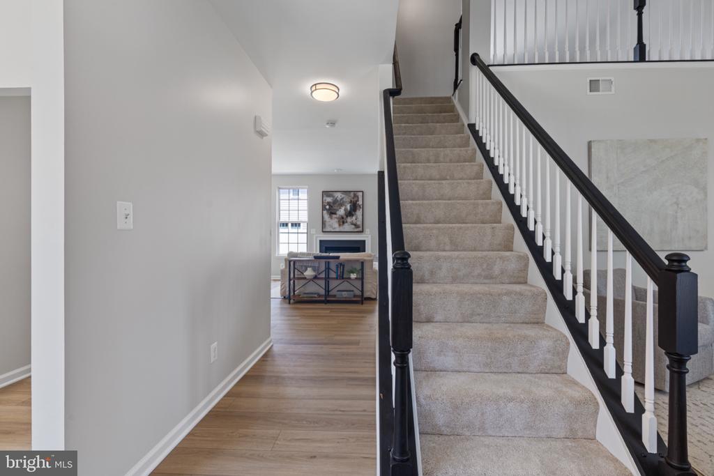 43290 RUSH RUN TERRACE