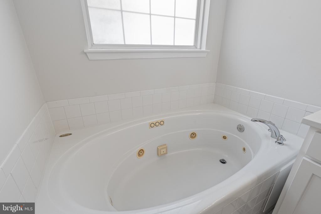 43290 RUSH RUN TERRACE