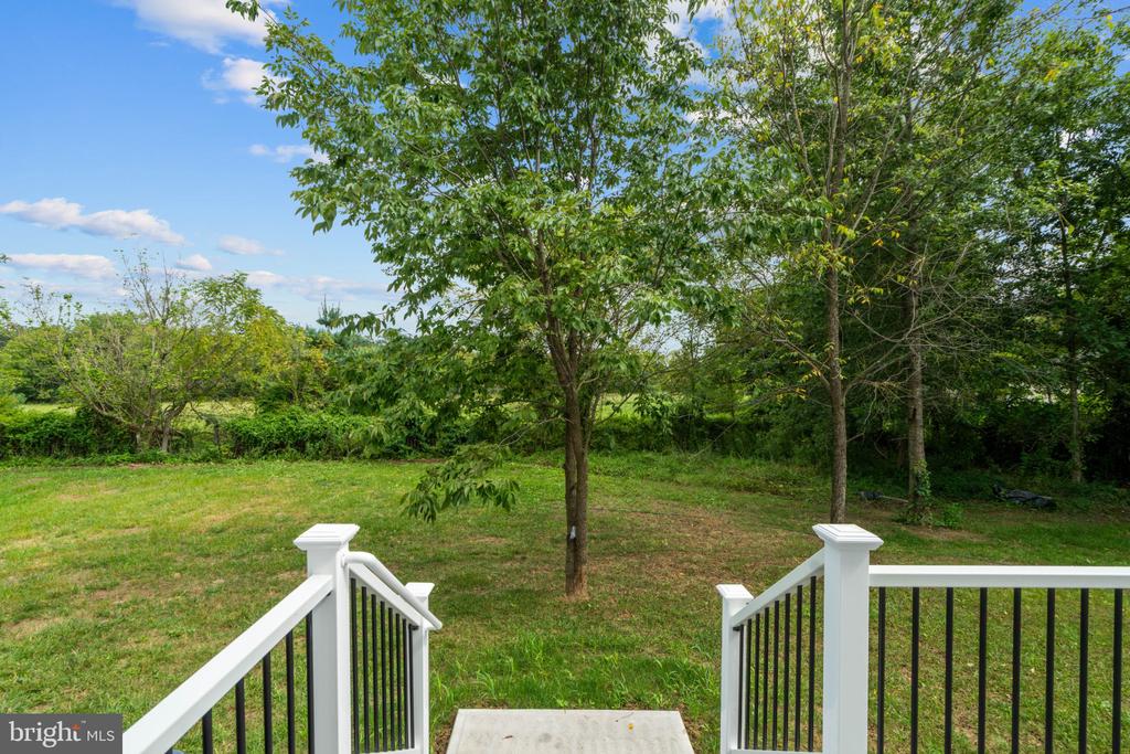45 S LOUDOUN STREET Unit: A-1
