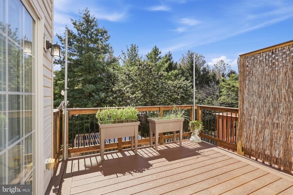 24699 SILTSTONE SQUARE